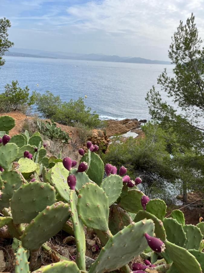 La Ciotat Vieux Port 2 Apartment Ngoại thất bức ảnh